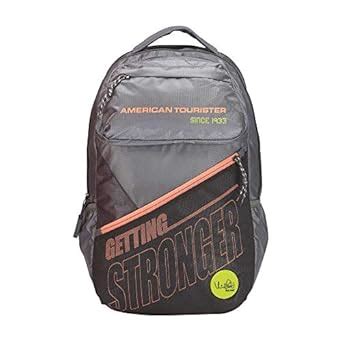 Buy American Tourister Womens 2 Compartment Zip Closure Backpack (Grey ...