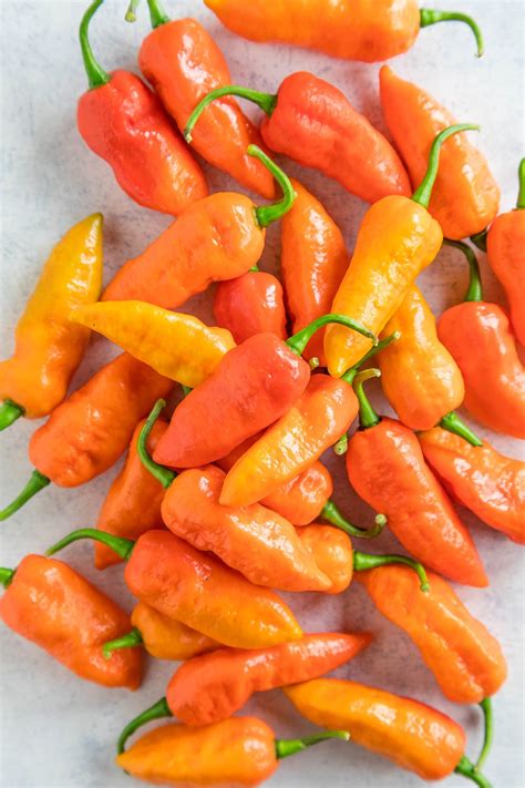 Ghost Pepper (Bhut Jolokia) - All About Them - Chili Pepper Madness