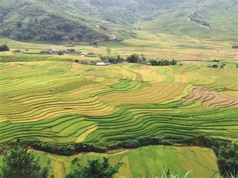 Nghia Lo Tourism (2024): All You Need to Know Before You Go