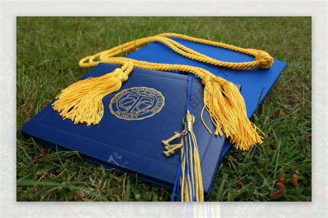 办美国大学毕业证学位证新墨西哥大学毕业证制作| | PPT