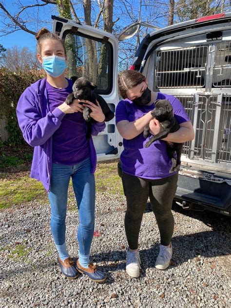 SPCA of Wake County Office Photos | Glassdoor