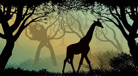 Image result for Jungle Animation