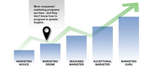 Image result for Capability Maturity Model Visual