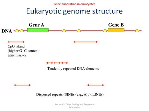 Image result for Gene Annotation Assignment