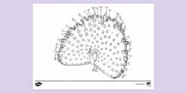 Peacock Mindfulness Colour by Number Page (teacher made)