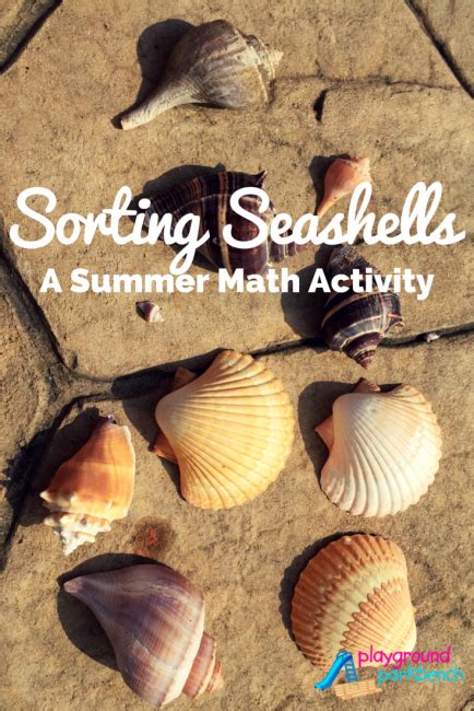 Seashell Sorting Activity 的图像结果