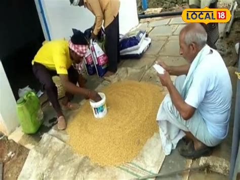 how to cultivation of peddy farming seed treatment important Mix ...