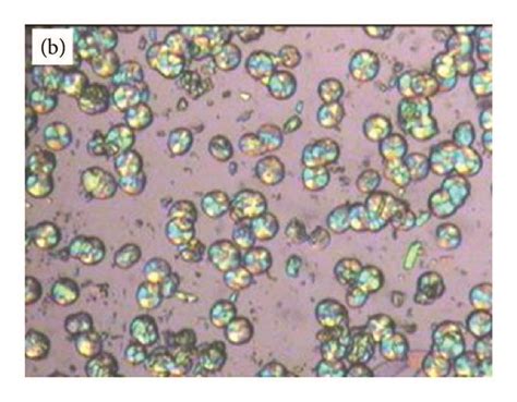 Inverse Temperature Crystallization Method 的图像结果