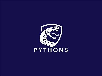 Image result for Python Original Logo