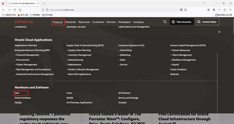 Java SDK Download 64-Bit 的图像结果