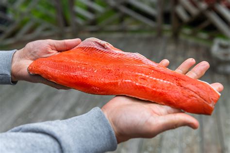 Why Wild-Caught Salmon Contains Worms