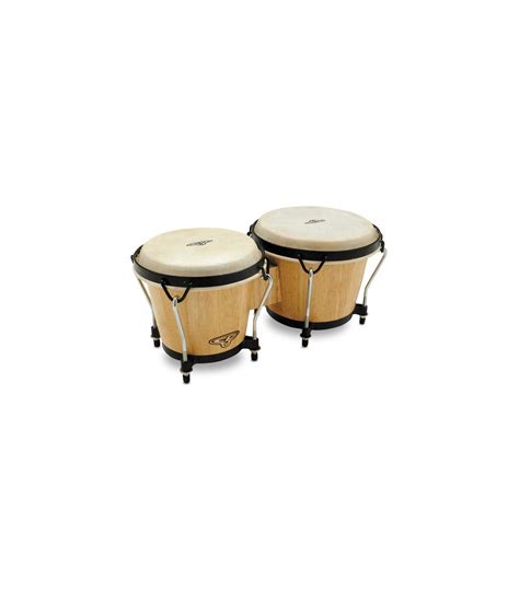 Image result for Basic Bongo