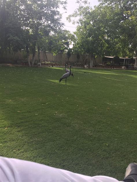 LOURDES HOTEL (Quetta) - Hotel Reviews, Photos, Rate Comparison ...