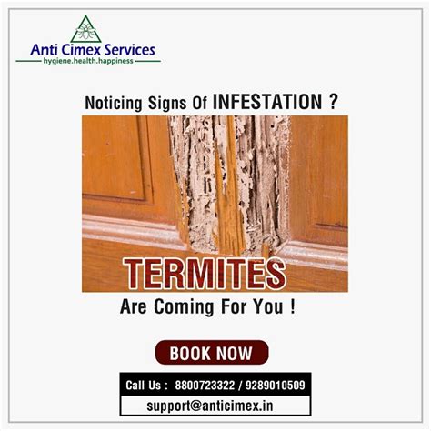 Anti Cimex Services Private Limited image gallery | Anti Cimex Services ...