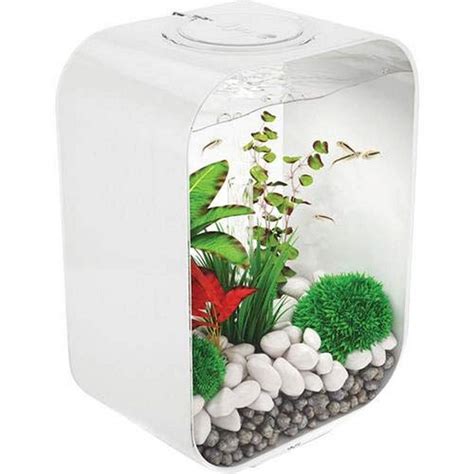 BiOrb 45816.0 Life 15 MCR White Aquariums : Amazon.in: Pet Supplies