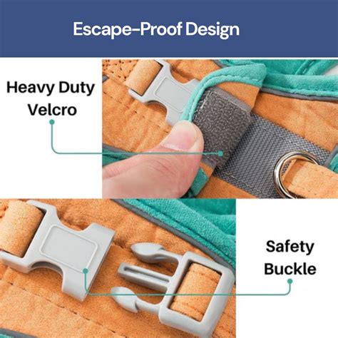 No Pain- Cat Harness & Leash Set (Extra Padded) – Auronix