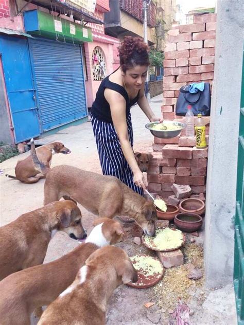 Singer Suparna Ghosh feeds stray dogs during lockdown | Bengali Movie ...