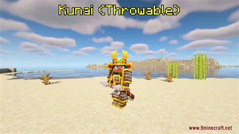 Image result for Epic Samurai Mod