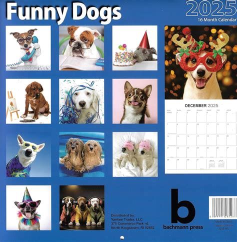 BachmannPress Bachmann Press 2025 Funny Dogs Full Size Wall India | Ubuy