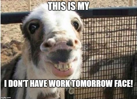 Boring 的图像结果