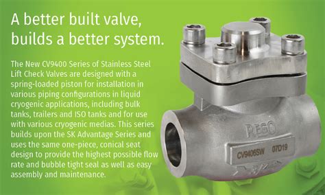 Image result for Spring Loaded Piston Check Valve