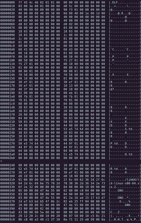 Image result for Elf File Memory