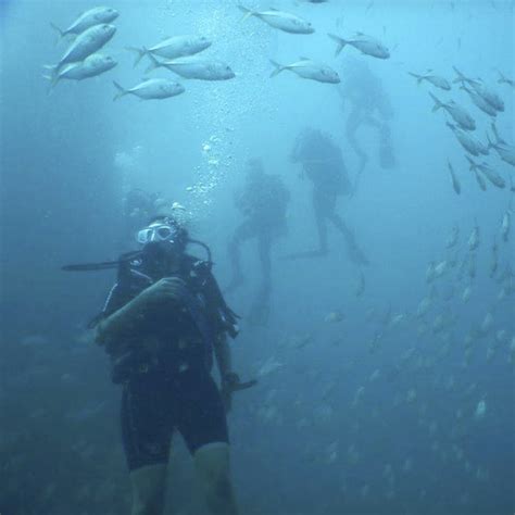 Scuba Diving | LBB