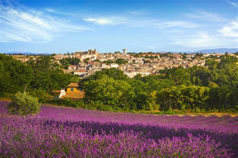 Visit Provence Lavender Fields | Lavender Fields South of France