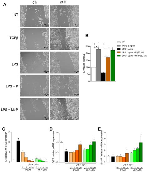 The Aryl Hydrocarbon Receptor (AhR) Mediates the Counter-Regulatory ...
