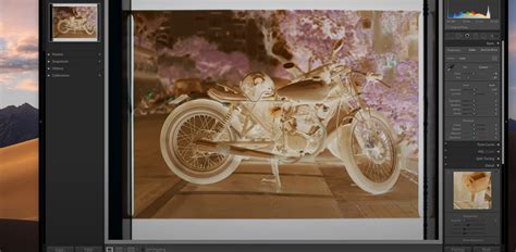 Scanning Disk Negatives 的图像结果