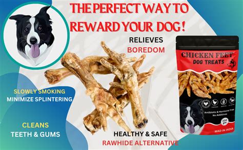 Buy WiggleBoo Natural and Nutritious Dried Chicken Feet Treats for Dog ...