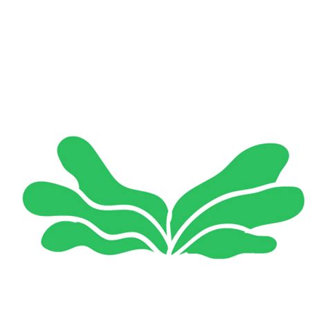 #GetSoiled - Interview with plant parent May D'Souza