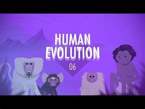 Crash Course Evolution 的图像结果