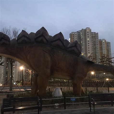 Dinosaur Footprint Park (Ulsan) - All You Need to Know BEFORE You Go