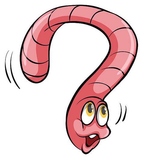 Image result for Segmented Worm Drawing