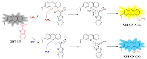 Point-of-Care and Dual-Response Detection of Hydrazine/Hypochlorite ...