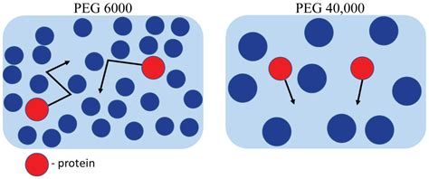 Effects of Homogeneous and Heterogeneous Crowding on Translational ...