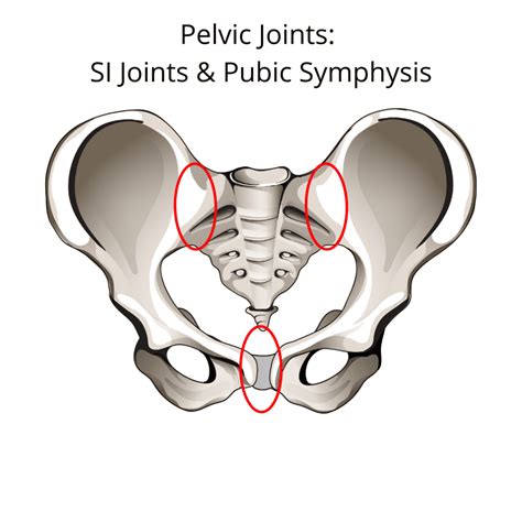 Overcoming Pelvic Pain During Pregnancy: Managing and Alleviating ...