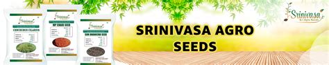 Amazon.in: Srinivasa Agro Seeds: Maize Seeds