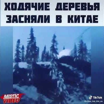 Страшное евление в Китае😥 / Ходячие деревья засняли на камеру 😲😲 - YouTube