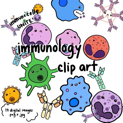 Immunity Clipart Immune Cells Clip Art Etsy UK