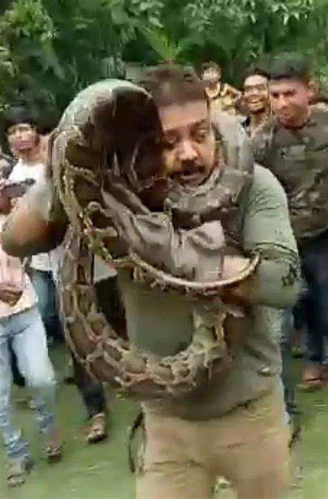 Killling a Python 的图像结果