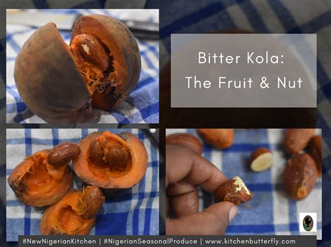 What Is Bitter Kola Good For at Michael Dalrymple blog