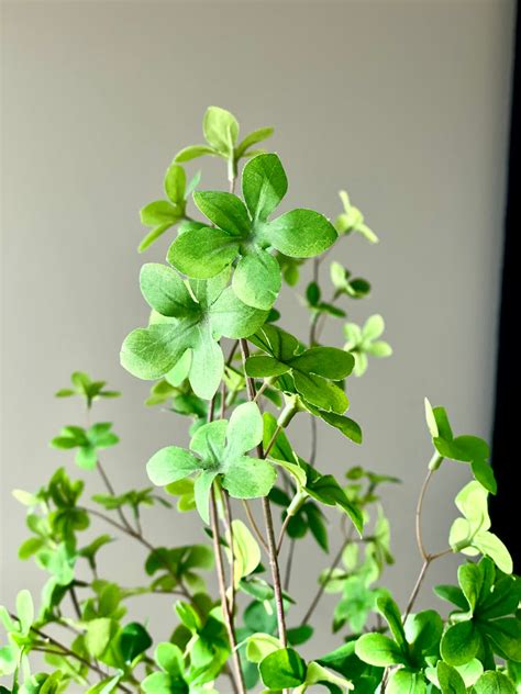 Artificial Short Plants – Mason Home by Amarsons - Lifestyle & Decor