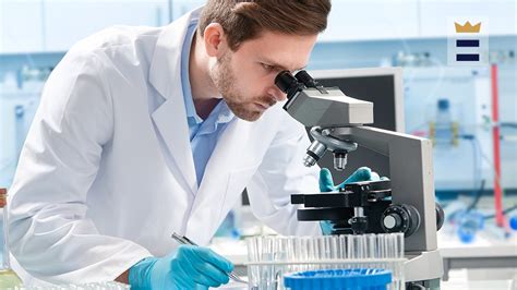 Image result for Compound vs Stereo Microscope