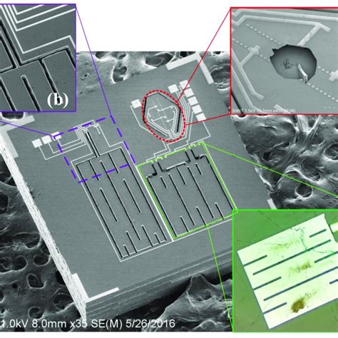 Image result for Accelerometer Inside