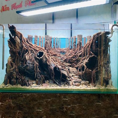 Image result for Turtle Fish Tank