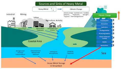 Understanding Climate Change and Heavy Metals in Coastal Areas: A Macroanalysis Assessment