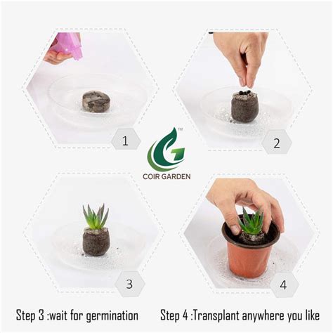 Buy Coco Coins Seed Germination Kit – Coir Garden