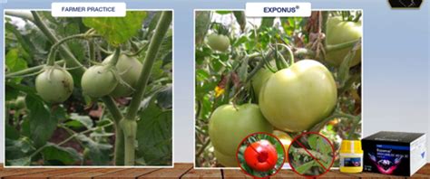 Exponus® | Farming and Crop Protection
